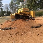 Stump Grinding
