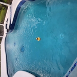 Pool Cleaning Services