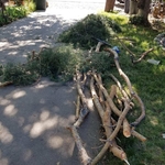 Our work