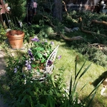 Our work