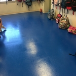 school cafeteria