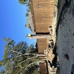 Tree Services