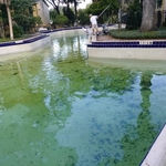 Commercial pool