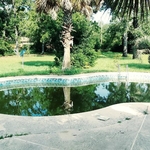Residential pool