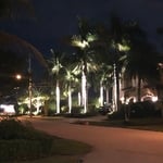 Glamorous home with 40 foot Royal Palms.