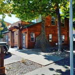 Exterior stain