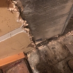 Drywall Removal mold&insulation