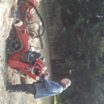 tree service