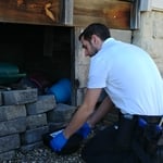 Exterior Rodent treatment