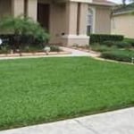 Lawn Care-1