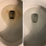 Toilet Cleaning
