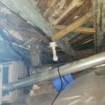 Crawlspace Mold Remediation before pic