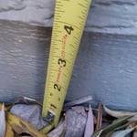 Grading of the landscaping