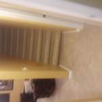 Carpet