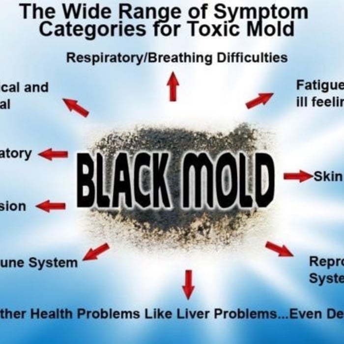 Symptoms of mold