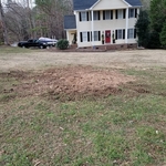December 2018 stump