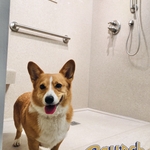 Onyx Age-in-place Shower