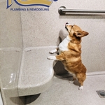 Onyx Age-in-place Shower