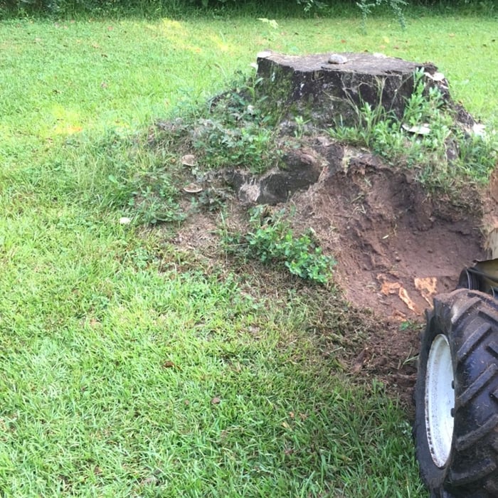 Stump Grinding