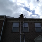 Gutter Cleaning