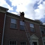Gutter Cleaning