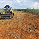 Hydro Axe Mulching