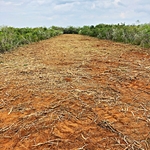 Hydro Axe Mulching