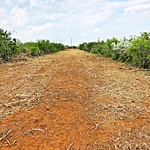 Hydro Axe Mulching