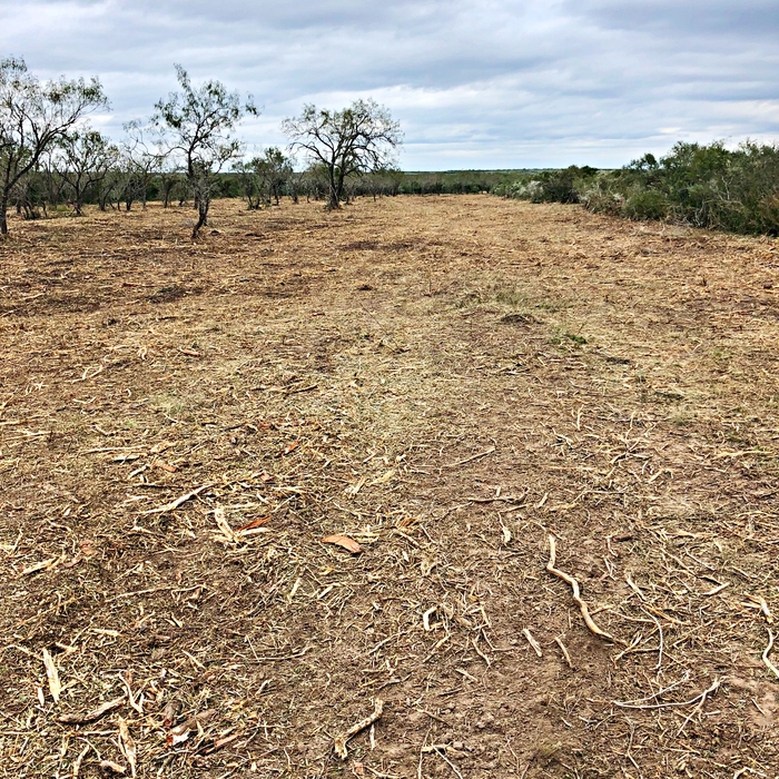Hydro Axe Mulching