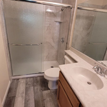 Tub to Shower