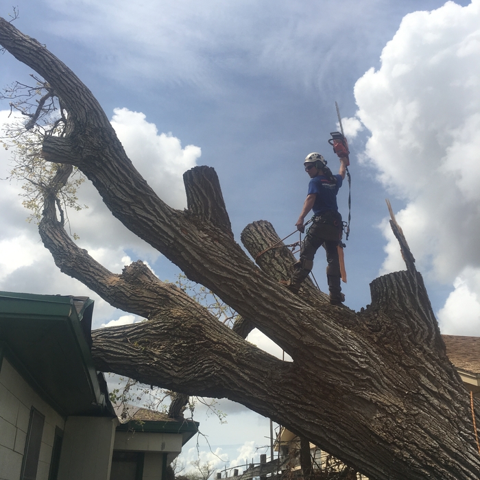 Hurricane Cleanup 2017