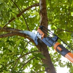 Tree Trimming