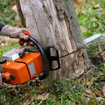 Tree Removal