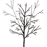 Structural Pruning