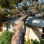Storm Damage Cleanup