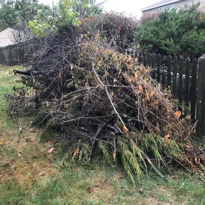 Debris/Brush Hauling