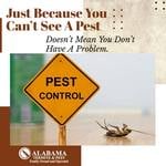 We are based in Lillian, AL