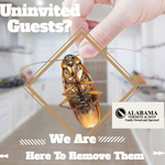 We are based in Lillian, AL