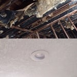 Fire Restoration-Golden Valley