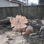 Tree removal