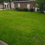 Mow and Maintain