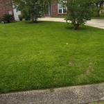Mow and Maintain