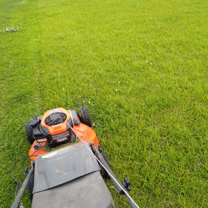 Mow and Maintain