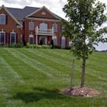 Customer in Parkton