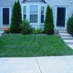 Beautiful, thick customer lawn in Abingdon, Md.