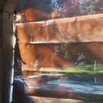 Looking out of enclosed porch