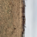 metal fence