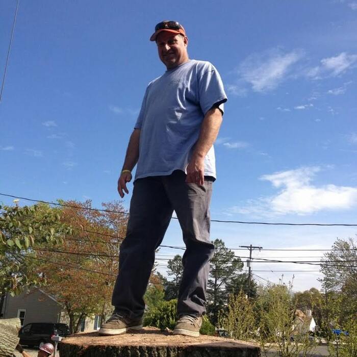 Tree Removal
