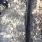 Misc pics