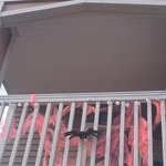Soffit
